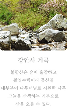 장안사 계곡